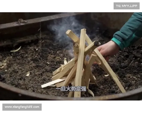 辐射岛攻略:点燃生火技巧 辐射岛攻略:点燃生火技巧